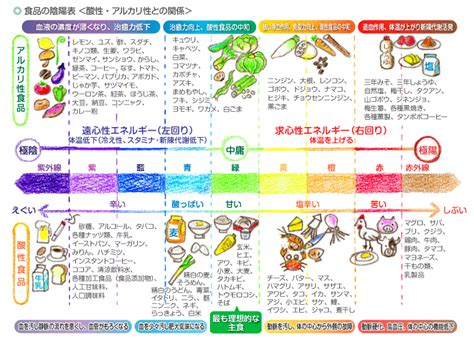 陰陽調理法|マクロビオティックとは？ その3「食物の陰陽判断。